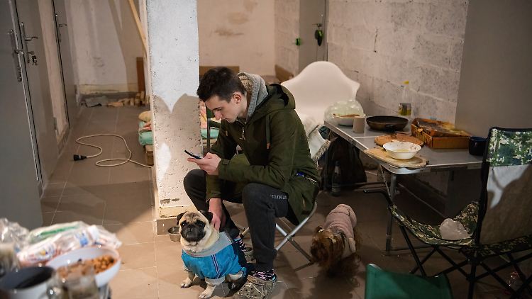 Eine App, die vor Luftangriffen warnt, gehört jetzt für viele Ukrainer zur Grundausstattung ihres Smartphones.
