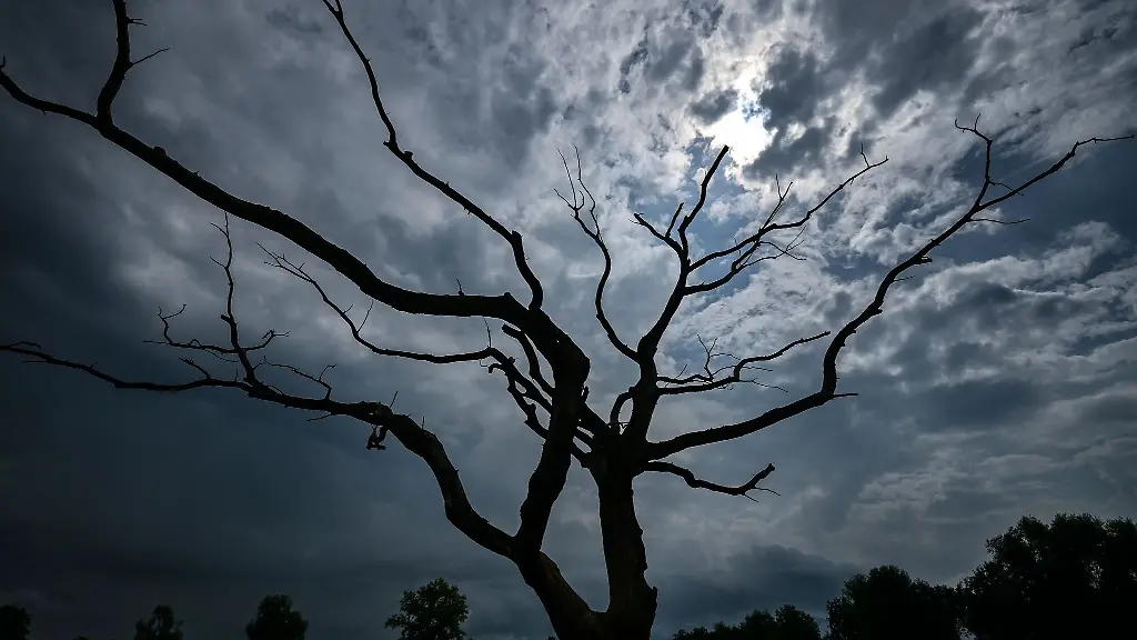 Zum-Ende-der-Woche-zeigt-sich-die-Sonne-wenig-Dunkle-Wolken-haengen-ueber-dem-Freistaat