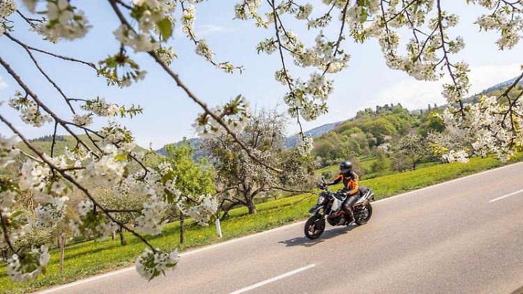 Neulinge auf dem Motorrad sollten sich kundige Hilfe holen, wenn sie ihre erste Maschine kaufen.