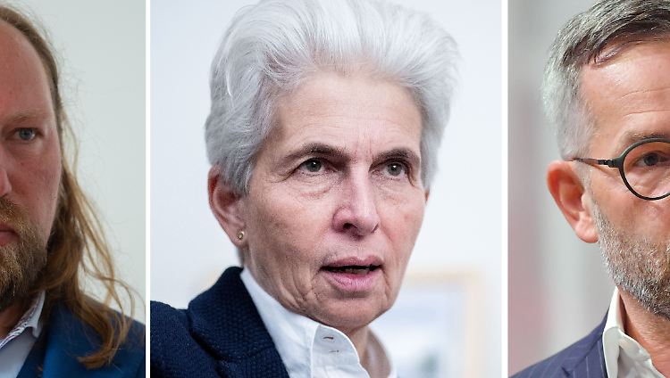 Anton Hofreiter von den Grünen, Marie-Agnes Strack-Zimmermann von der FDP und Michael Roth von der SPD: Alle drei hatten zuletzt mehr Tempo bei Waffenlieferungen gefordert.
