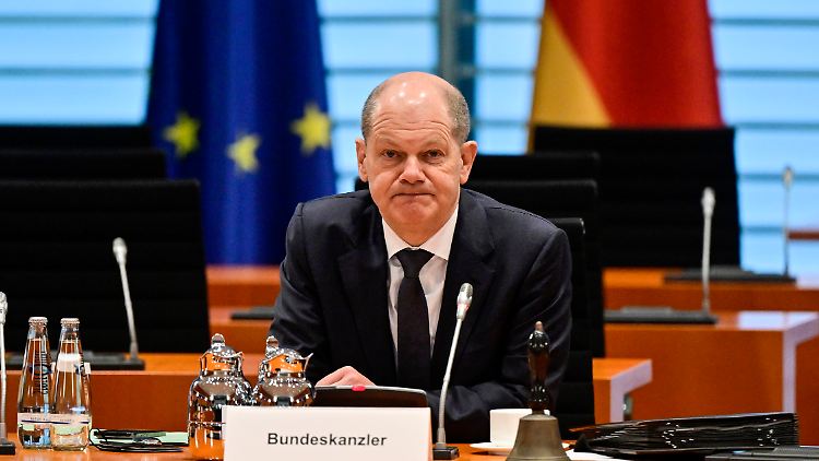 Unbestreitbar ein Katzenkanzler: Man weiß nie so recht, was Olaf Scholz umtreibt.