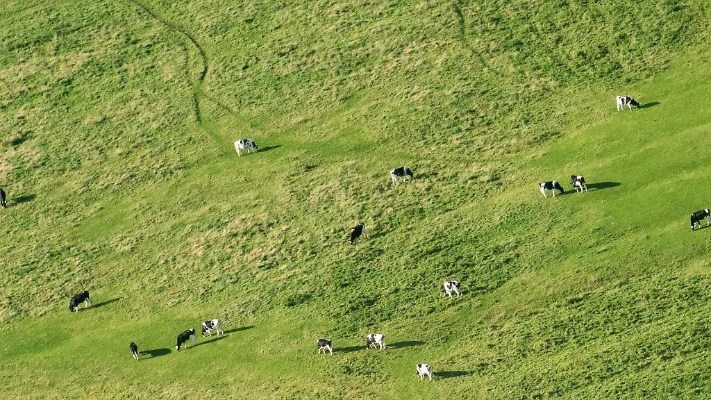 Die-Preise-fuer-landwirtschaftliche-Flaechen-im-Norden-steigen-weiter