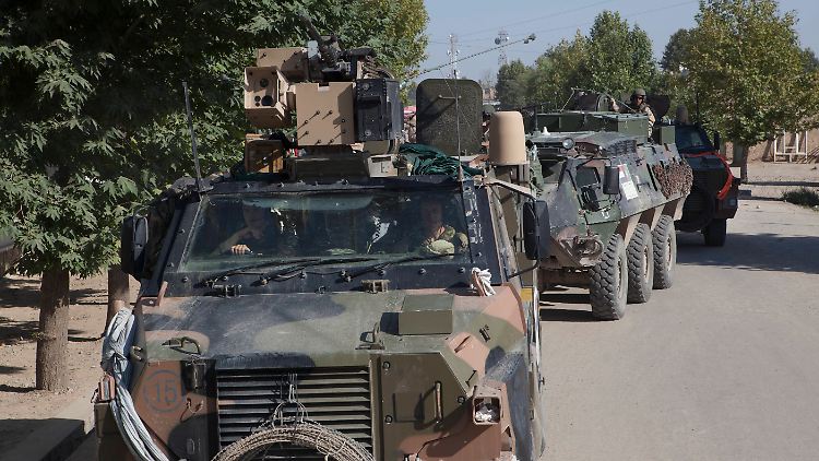 Die niederländische Armee verfügt über mehrere Klassen an schweren Panzerfahrzeugen, darunter auch der "Bushmaster".