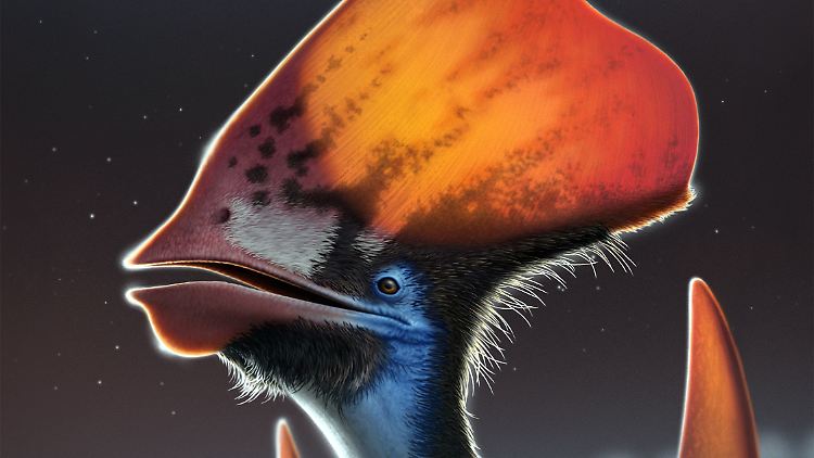 Der Flugsaurier Tupandactylus imperator hatte vermutlich bunte Federn - er lebte vor etwa 113 Millionen Jahren.