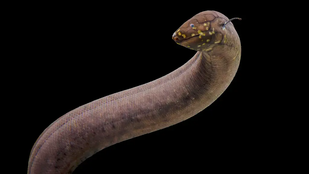 15b24e4bd6d2a7ec40b5d27c13c3d38c