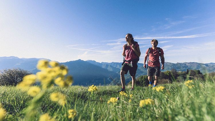Mit guter Planung geht bei der Bergwanderung nichts schief.