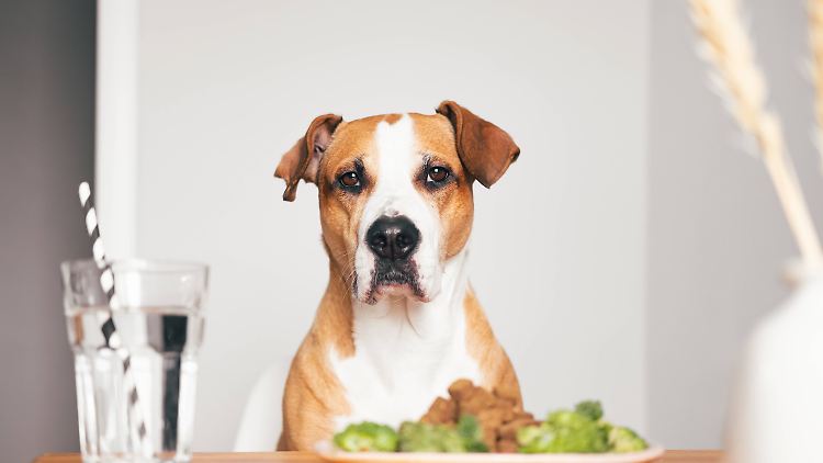 Mahlzeit!
