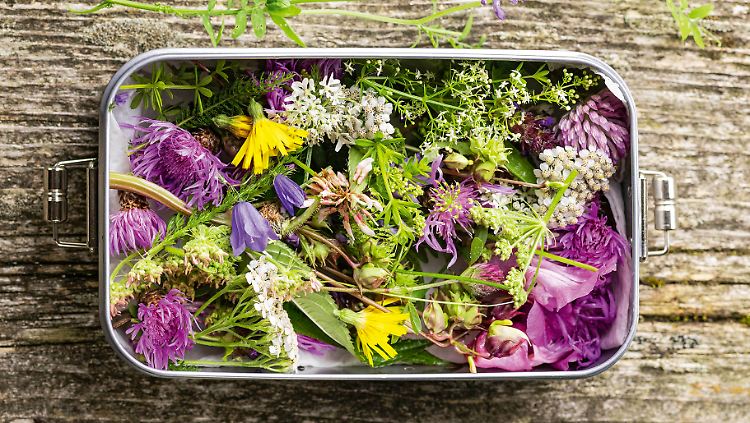 Nicht nur eine Augenweide, sondern auch gesunder Genuss: selbst gesammelte Wildkräuter und -blüten.