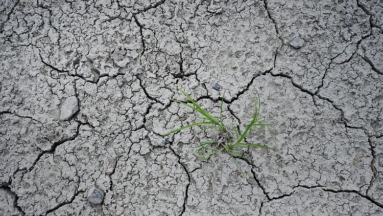 Sizilien verzeichnete 2021 einen vorläufigen europäischen Hitzerekord von 48,8 Grad.