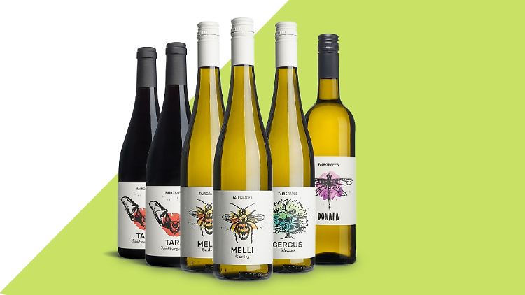 FairGrapes will mit nachhaltigem Wein die Natur schützen, etwa durch die Finanzierung von Tierpatenschaften.