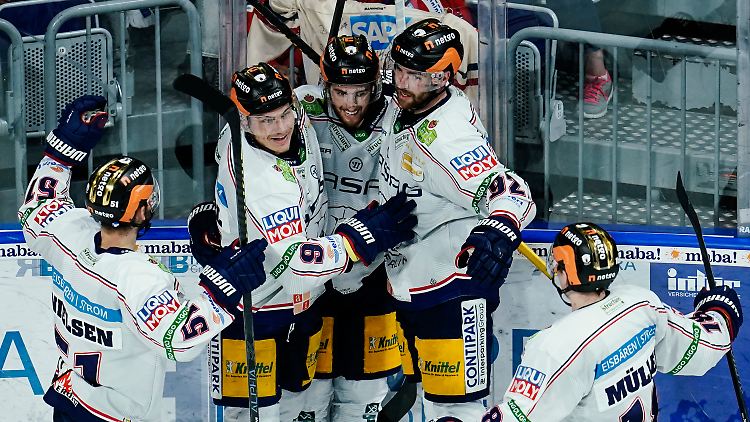 Glückliche Eisbären.