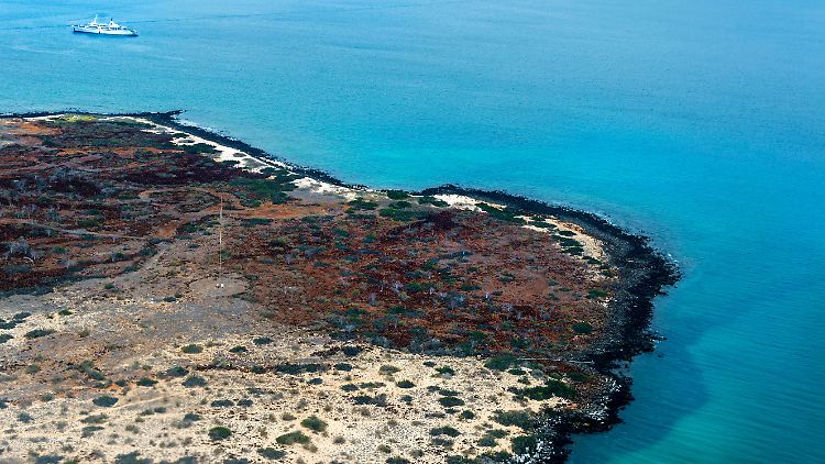 Das Unglück ereignete sich vor der Insel Santa Cruz.