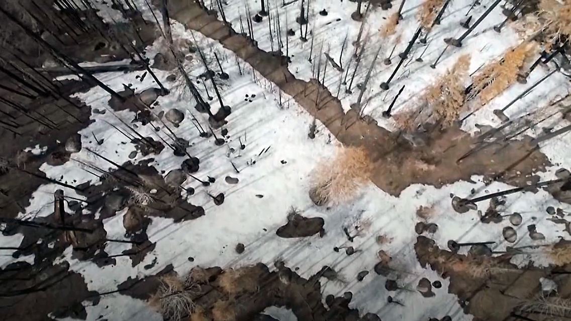 WaldbrändeTeufelskreis.jpg