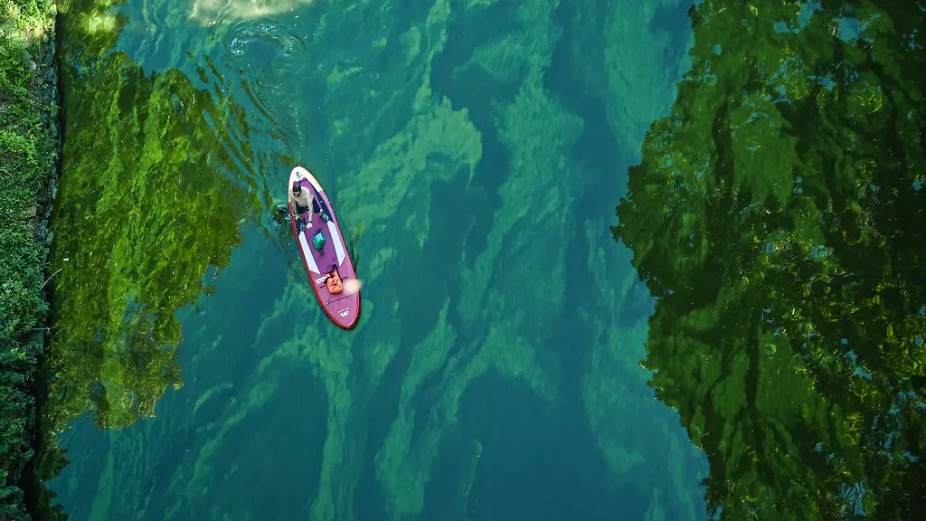 Blaualgen-trueben-Badefreude