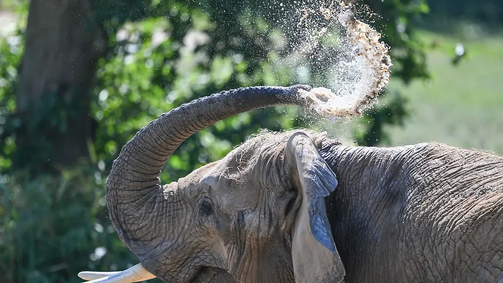 Die-Hitze-hat-Hessen-fest-im-Griff-da-ist-jede-Abkuehlung-recht