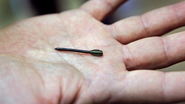 Fléchette-Munition verbiegt sich im Körper des Opfers, das Heck reißt ab und verursacht weitere Wunden (Archivbild).