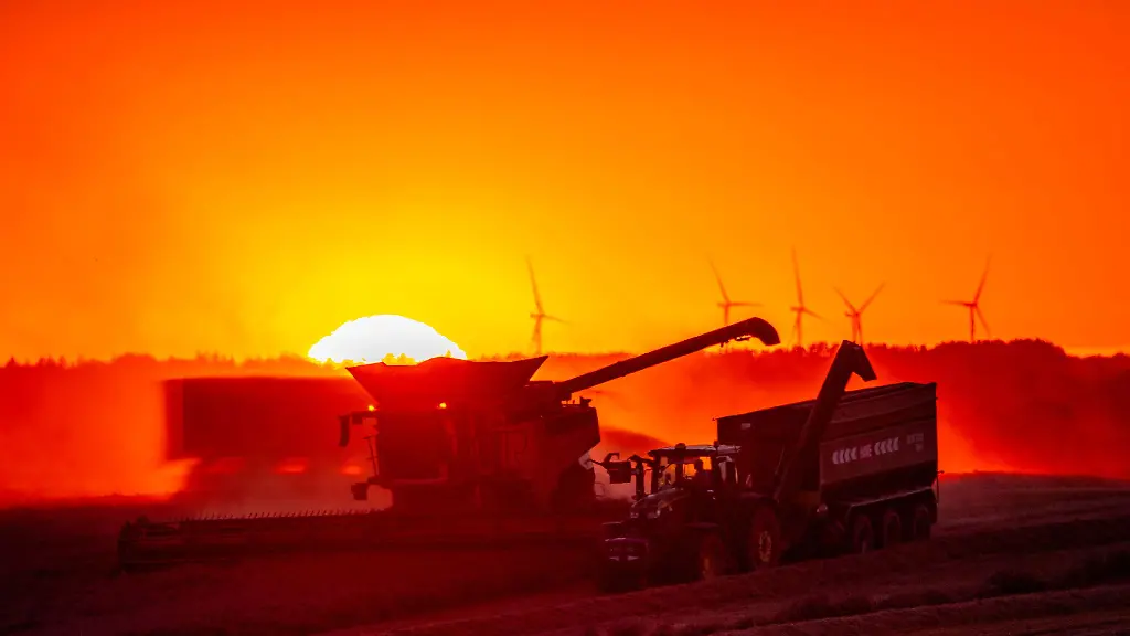 Endspurt-fuer-die-Getreideernte-in-MV