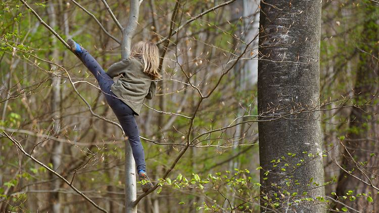 Kinder schulen beim Klettern ihre Motorik. Unfälle gibt es in Waldkindergärten eher selten.