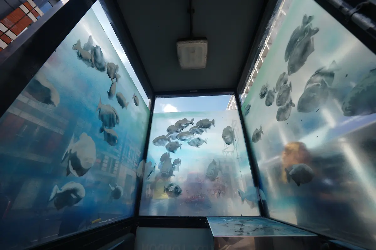 d6ee36d1fcb0f5246bbe1ed6bbe37402