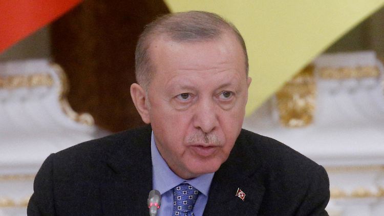 Erdogan wertet die regierungskritischen Demonstrationen, die 2013 im Gezi-Park begannen, als ausländische Verschwörung.