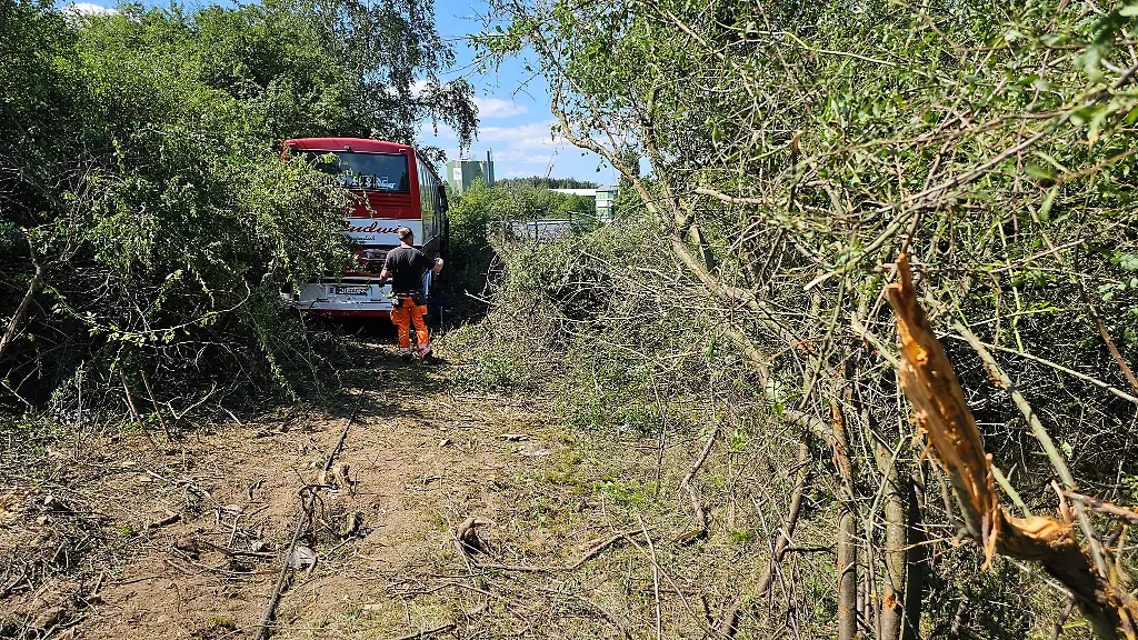 Medzinische-Probleme-beim-Busfahrer-haben-wohl-den-Unfall-ausgeloest