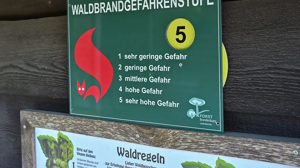 Die-Waldbrandgefahr-steigt-in-Brandenburg-wieder