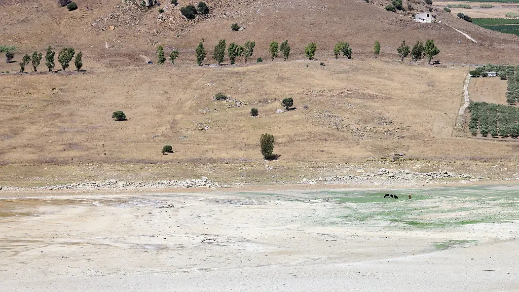 5ca8aa24a7d112ea0a9d6da177e95f71