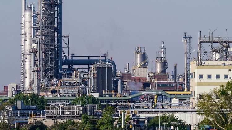 Der BASF-Standort in Ludwigshafen würde eine Halbierung der Gaslieferungen nicht bewältigen können.