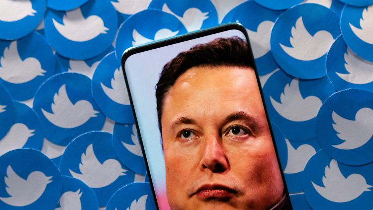 Elon Musk will Twitter kaufen und Deutschland ist beleidigt.