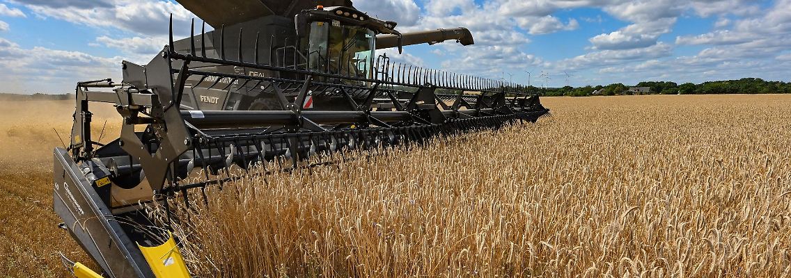 Auf einem Feld wird mit einem Mähdrescher Roggen gedroschen. Weil Russland Seewege der Ukraine blockiert, können wichtige Getreidelieferungen nicht das Land verlassen.