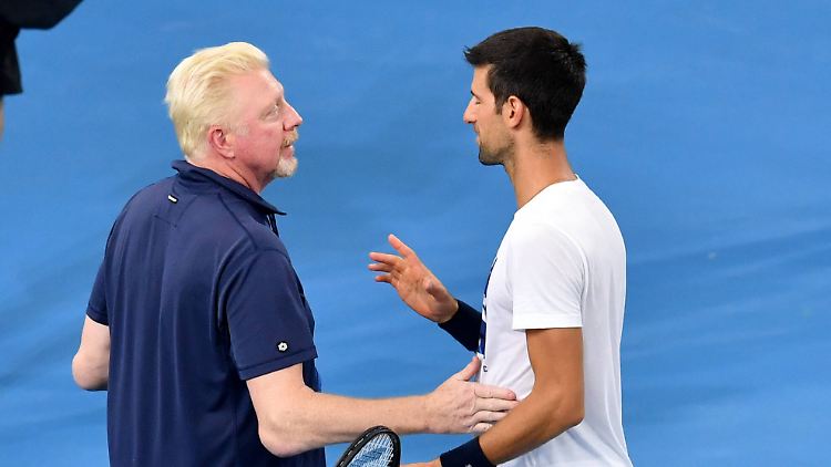 Einst trainierte Boris Becker Grand-Slam-Rekordchampion Novak Djokovic.