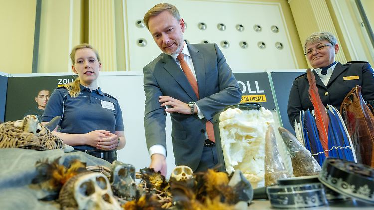 Der Zoll stellte 2021 mehr als 88.000 Exemplare geschützter Tier- und Pflanzenarten und daraus hergestellte Waren sicher.