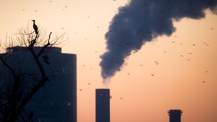 Leben auf Kosten der Menschen im globalen Süden - so beschreiben Kritiker den weltweiten Ressourcenverbrauch, bei dem Industrienationen sich besonders viel herausnehmen.