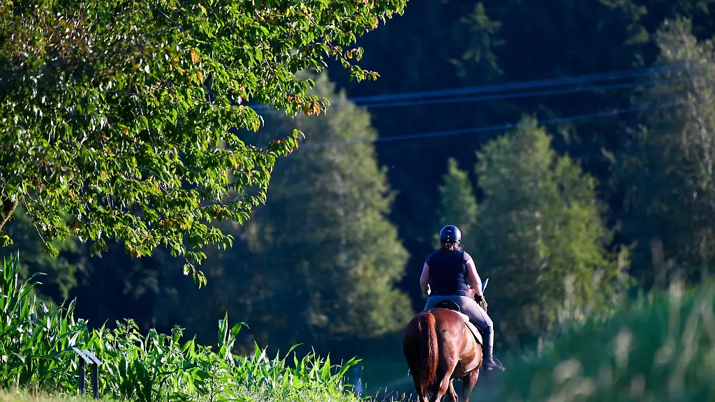 Eine-Frau-reitet-auf-ihrem-Pferd-durch-eine-huegelige-Landschaft-Die-Feuerwehr-hat-im-Landkreis-Rottal-Inn-ein-Pferd-aus-einem-schlammigen-Weiher-befreit
