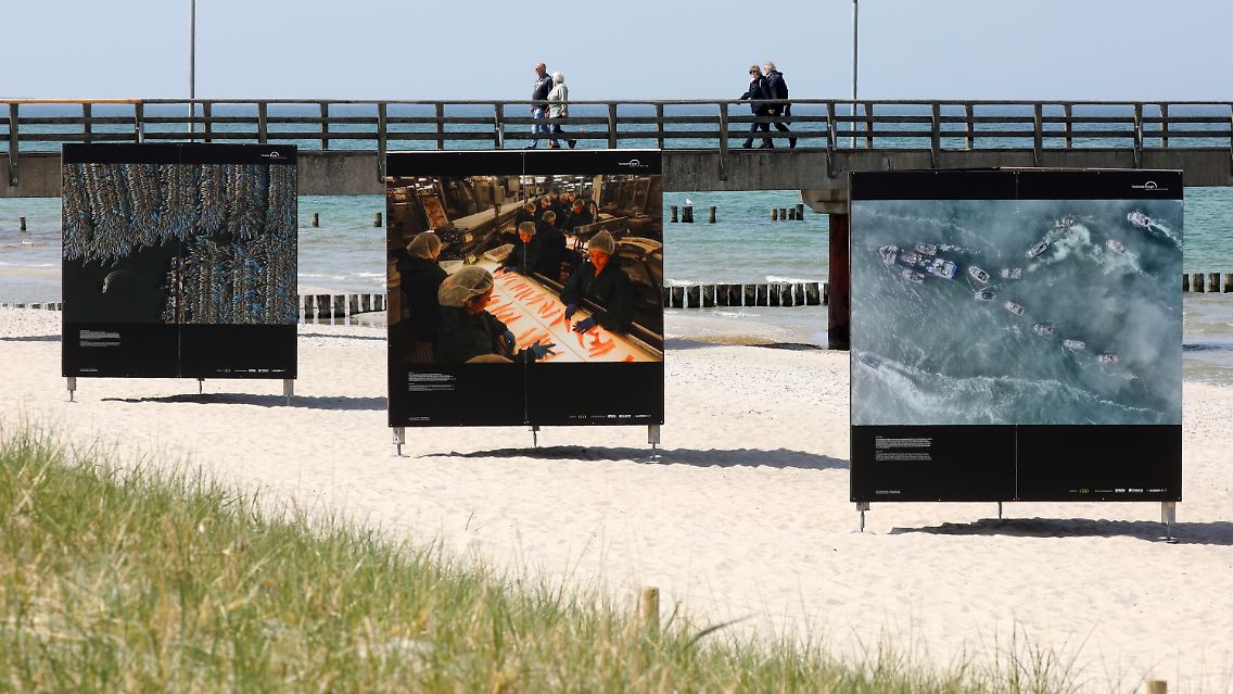 Einen Strand mit besonderer Aussicht gibt es momentan in Zingst in Mecklenburg-Vorpommern zu sehen.