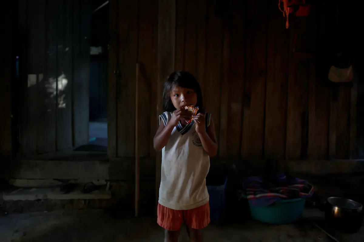 2024-08-07T130128Z-1692043329-RC2B09AJIK1K-RTRMADP-3-BRAZIL-INDIGENOUS-LAND