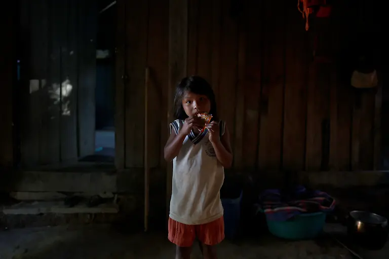 2024-08-07T130128Z-1692043329-RC2B09AJIK1K-RTRMADP-3-BRAZIL-INDIGENOUS-LAND