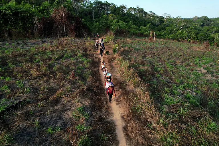 2024-08-07T130036Z-630913265-RC2KZ8AYN3E3-RTRMADP-3-BRAZIL-INDIGENOUS-LAND