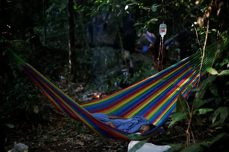 2024-08-07T130117Z-303546194-RC2AY8A56J2D-RTRMADP-3-BRAZIL-INDIGENOUS-LAND