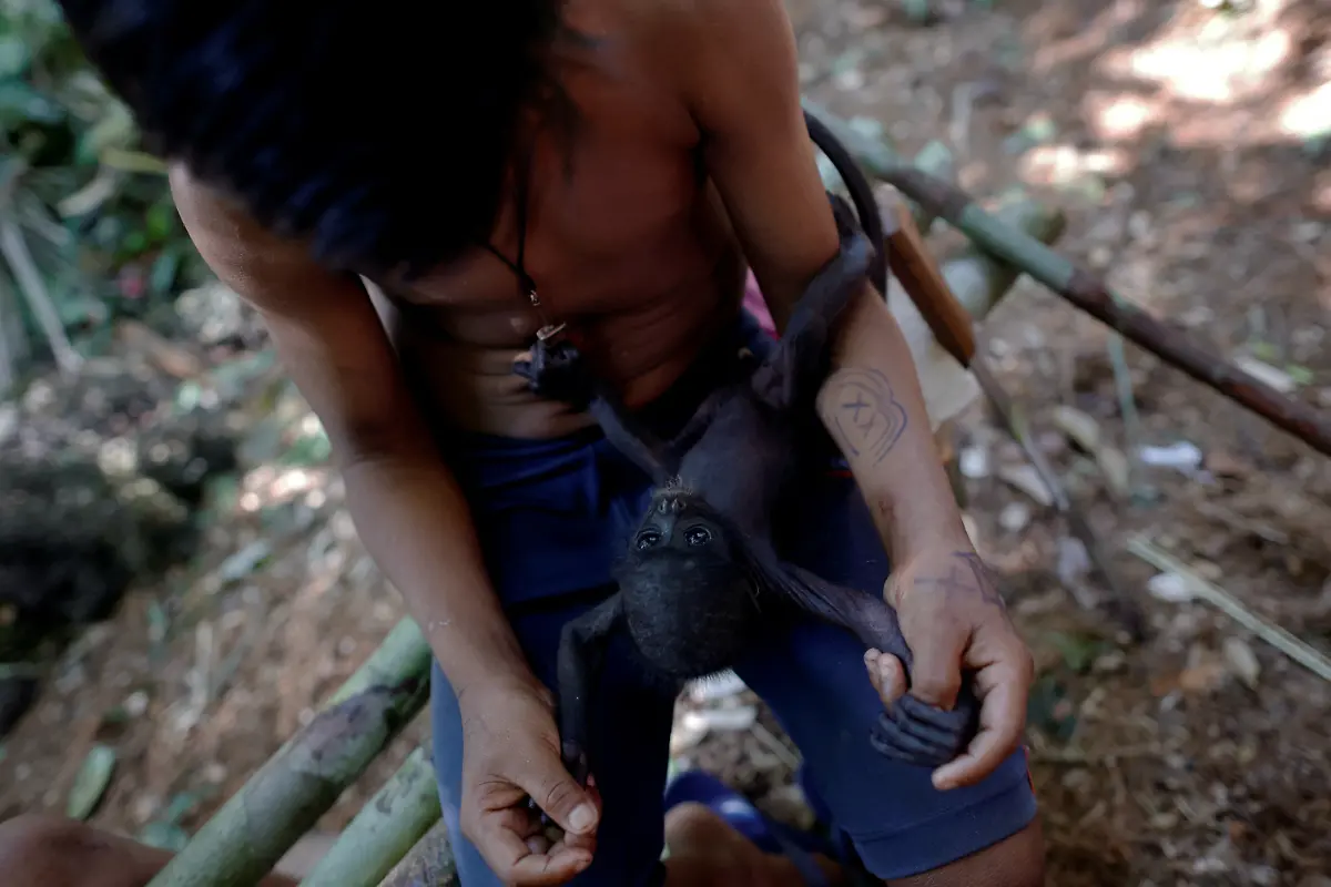 gerettetes-Aeffchen2