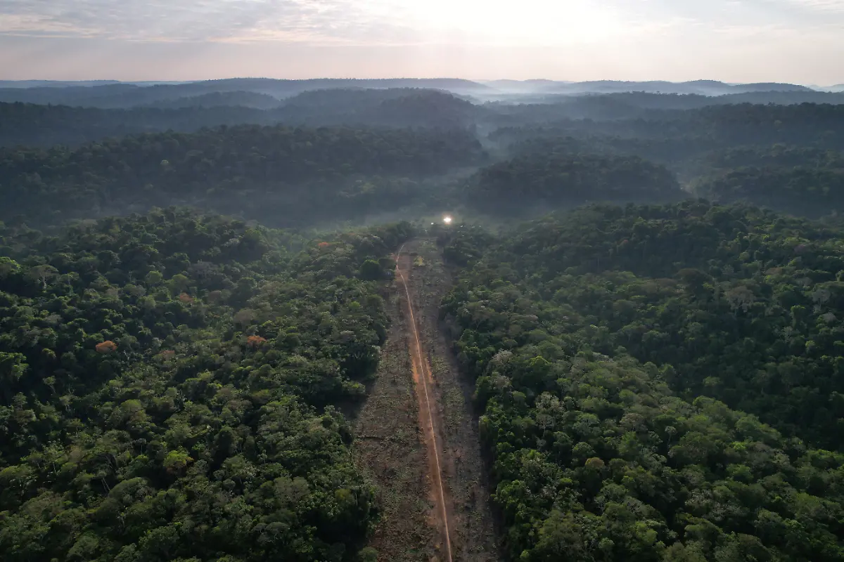 Weg-zu-illegaler-Mine