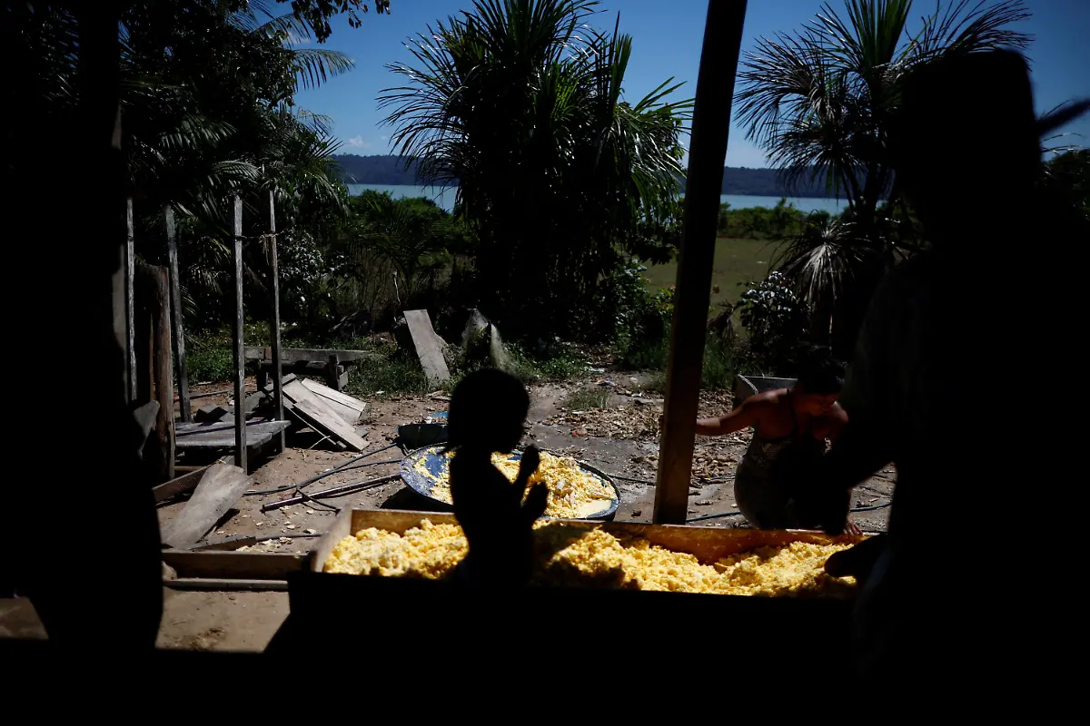 2024-08-07T130123Z-1182610474-RC2GW8AKCLKV-RTRMADP-3-BRAZIL-INDIGENOUS-LAND