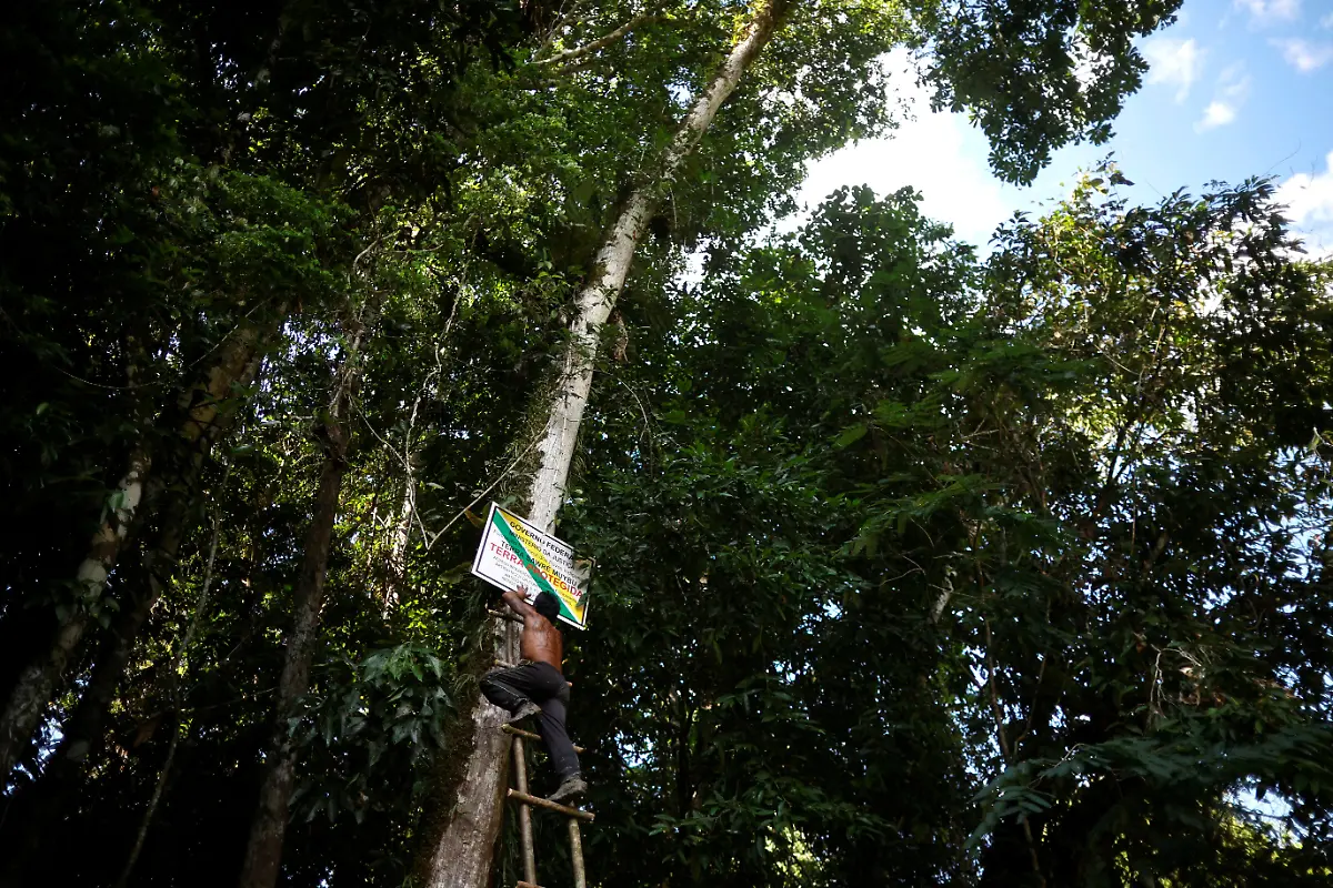 2024-08-07T130035Z-1504814603-RC26X8AOJAHQ-RTRMADP-3-BRAZIL-INDIGENOUS-LAND