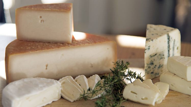 Listerien können sich in Käse vermehren. 