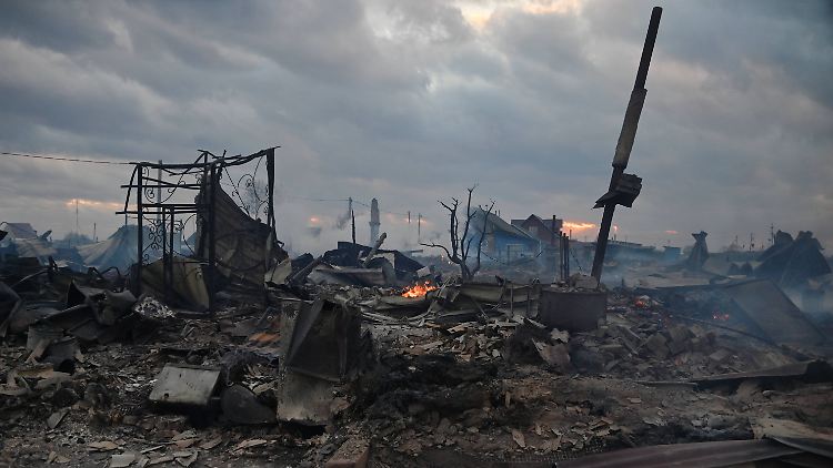 Die Feuer in Sibirien haben massive Schäden verursacht - hier in der Region Omsk.