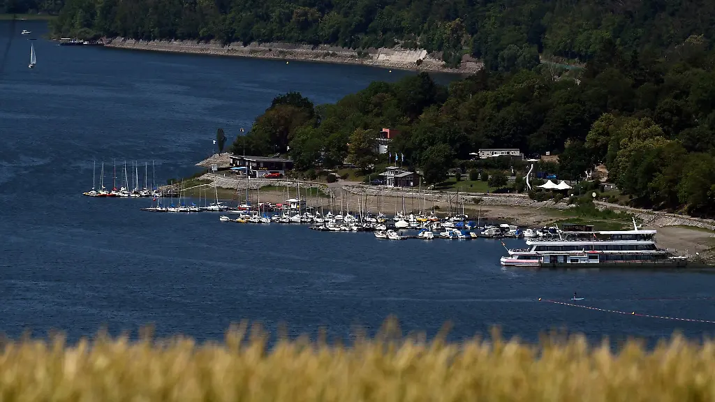 Am-Edersee-ereignete-sich-fuer-ein-Kleinkind-eine-lebensgefaehrliche-Situation-als-es-von-einem-Hund-gebissen-wird