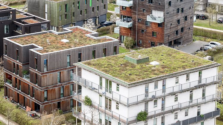 Gründächer wie hier auf Neubauten im Hamburger Stadtteil Wilhelmsburg helfen unter anderem, die Stadterwärmung zu dämpfen.