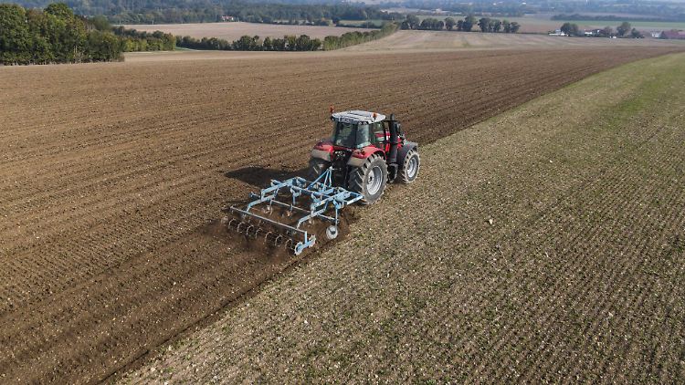 Bis zu 40 Prozent der Ernte könnten ausfallen, warnt der Bauernverband.