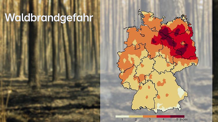 Waldbrandgefahr.jpg