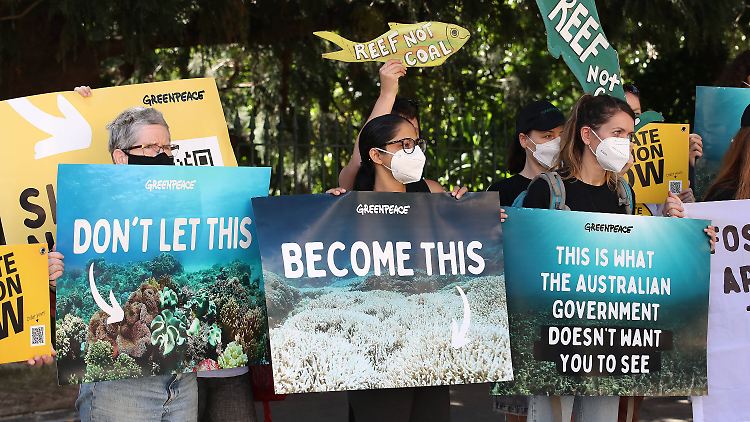 Sorge um die Korallenriffe: Im März demonstrierten Aktivisten der Umweltschutzorganisation Greenpeace vor dem Parlamentsgebäude von Brisbane.